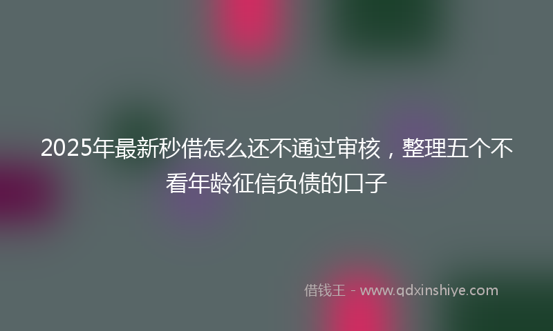 2025年最新秒借怎么还不通过审核，整理五个不看年龄征信负债的口子