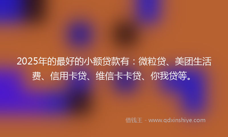 2025年的最好的小额贷款有：微粒贷、美团生活费、信用卡贷、维信卡卡贷、你我贷等。