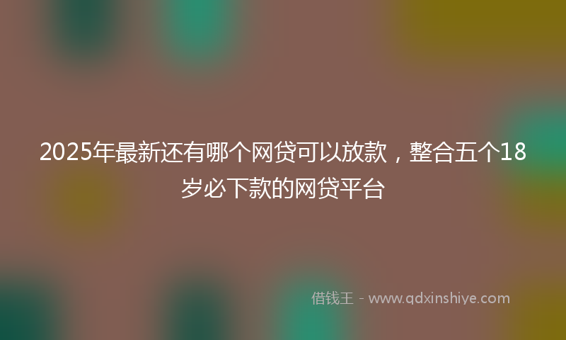2025年最新还有哪个网贷可以放款，整合五个18岁必下款的网贷平台
