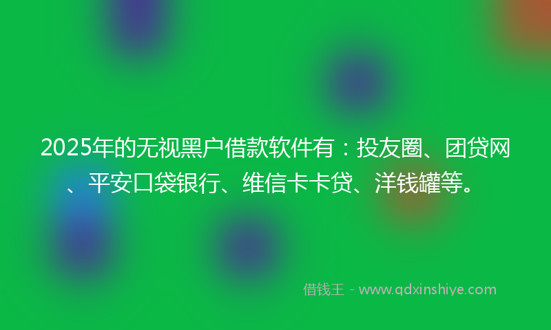 2025年的无视黑户借款软件有：投友圈、团贷网、平安口袋银行、维信卡卡贷、洋钱罐等。