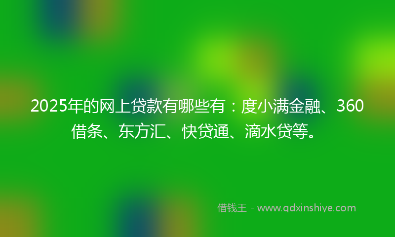 2025年的网上贷款有哪些有：度小满金融、360借条、东方汇、快贷通、滴水贷等。