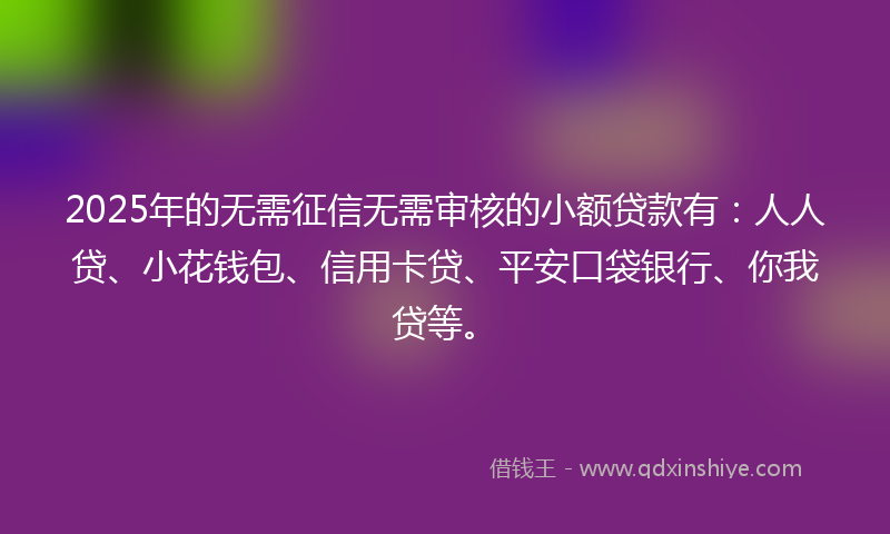 2025年的无需征信无需审核的小额贷款有：人人贷、小花钱包、信用卡贷、平安口袋银行、你我贷等。