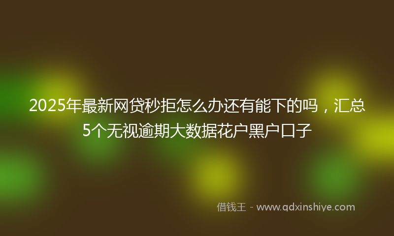 2025年最新网贷秒拒怎么办还有能下的吗，汇总5个无视逾期大数据花户黑户口子