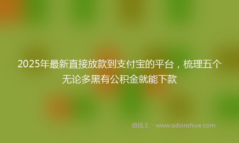 2025年最新直接放款到支付宝的平台，梳理五个无论多黑有公积金就能下款