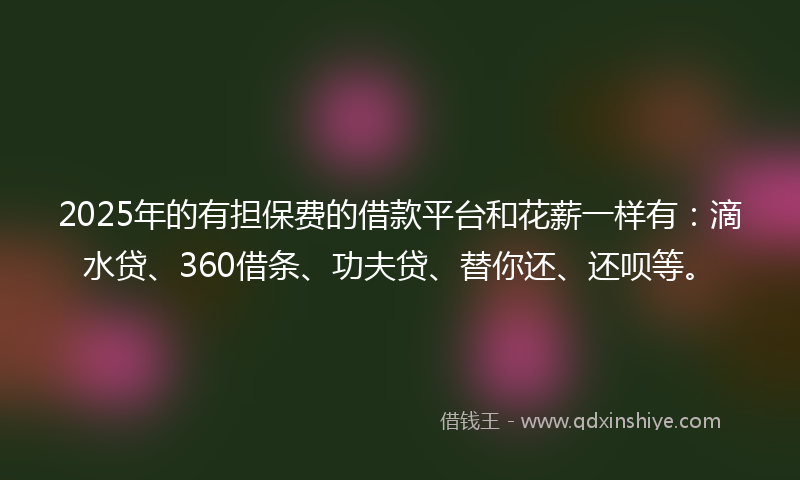 2025年的有担保费的借款平台和花薪一样有：滴水贷、360借条、功夫贷、替你还、还呗等。