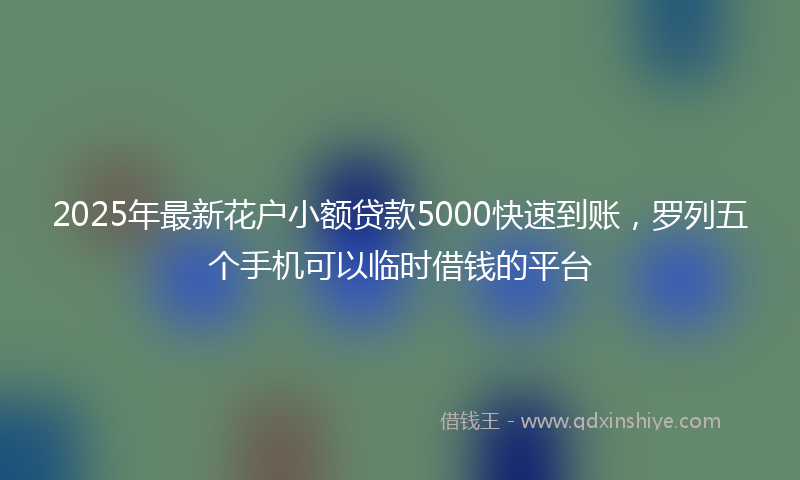 2025年最新花户小额贷款5000快速到账，罗列五个手机可以临时借钱的平台