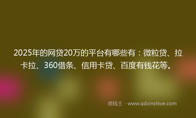 2025年的网贷20万的平台有哪些有：微粒贷、拉卡拉、360借条、信用卡贷、百度有钱花等。