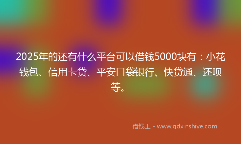 2025年的还有什么平台可以借钱5000块有：小花钱包、信用卡贷、平安口袋银行、快贷通、还呗等。