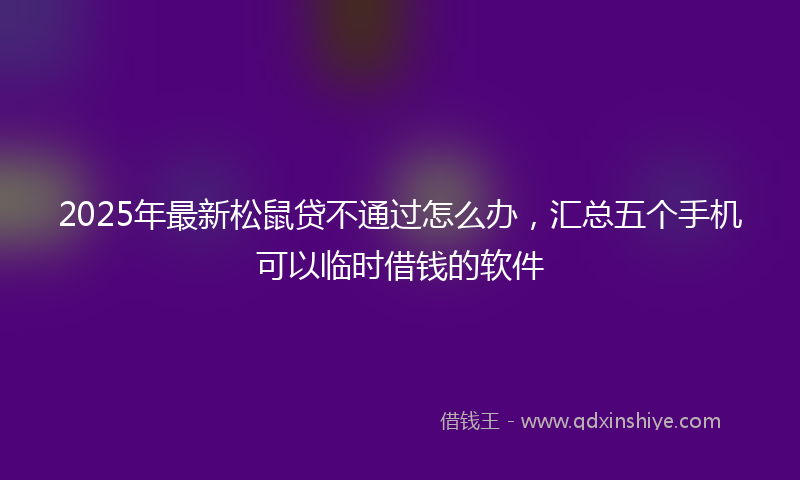 2025年最新松鼠贷不通过怎么办，汇总五个手机可以临时借钱的软件