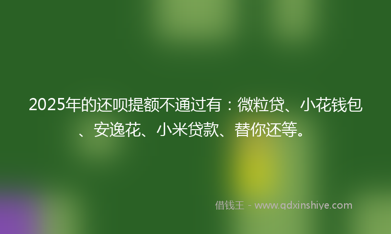 2025年的还呗提额不通过有：微粒贷、小花钱包、安逸花、小米贷款、替你还等。