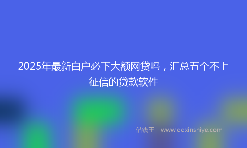 2025年最新白户必下大额网贷吗，汇总五个不上征信的贷款软件