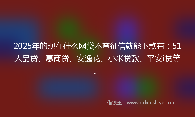 2025年的现在什么网贷不查征信就能下款有：51人品贷、惠商贷、安逸花、小米贷款、平安i贷等。