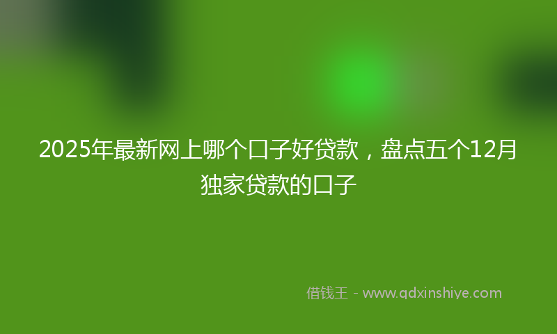 2025年最新网上哪个口子好贷款，盘点五个12月独家贷款的口子