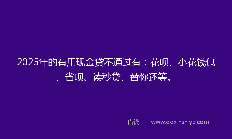 2025年的有用现金贷不通过有：花呗、小花钱包、省呗、读秒贷、替你还等。