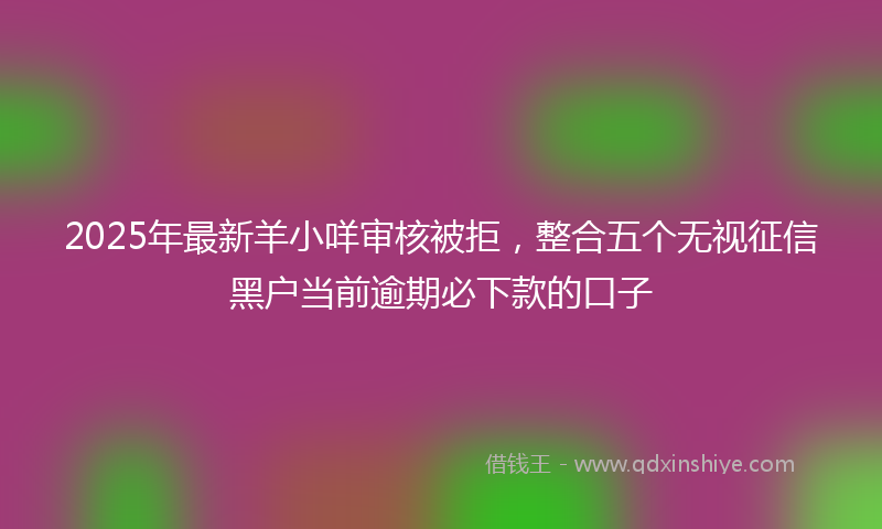 2025年最新羊小咩审核被拒，整合五个无视征信黑户当前逾期必下款的口子