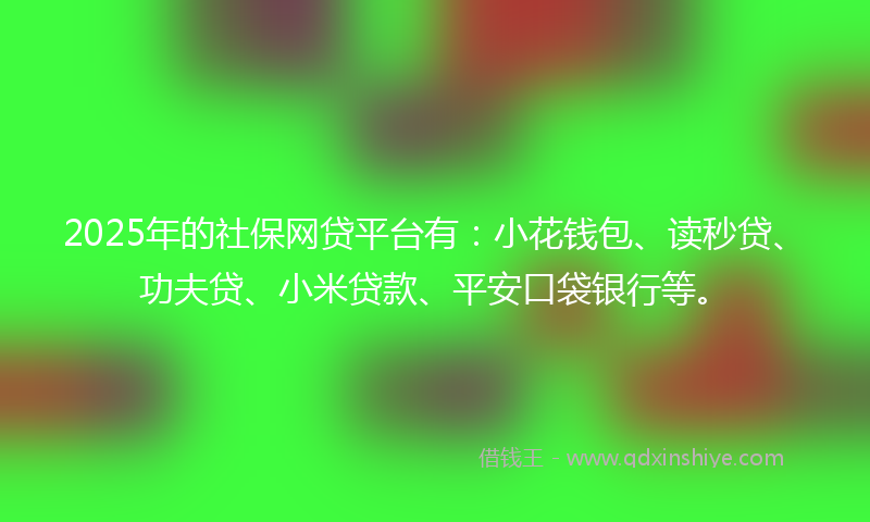 2025年的社保网贷平台有：小花钱包、读秒贷、功夫贷、小米贷款、平安口袋银行等。
