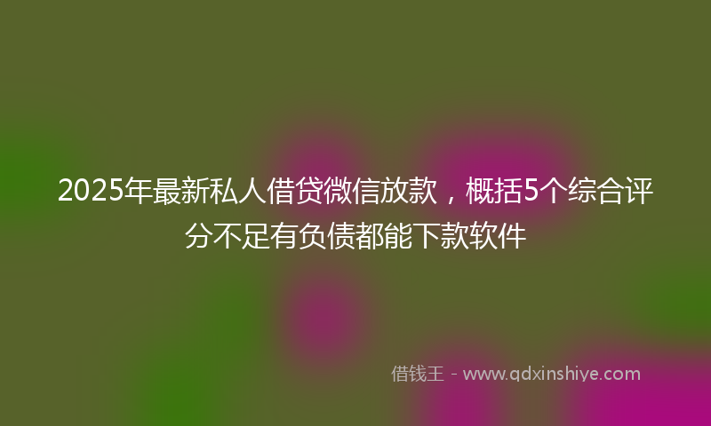 2025年最新私人借贷微信放款，概括5个综合评分不足有负债都能下款软件