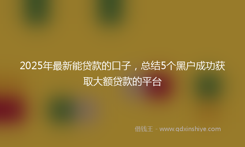 2025年最新能贷款的口子，总结5个黑户成功获取大额贷款的平台