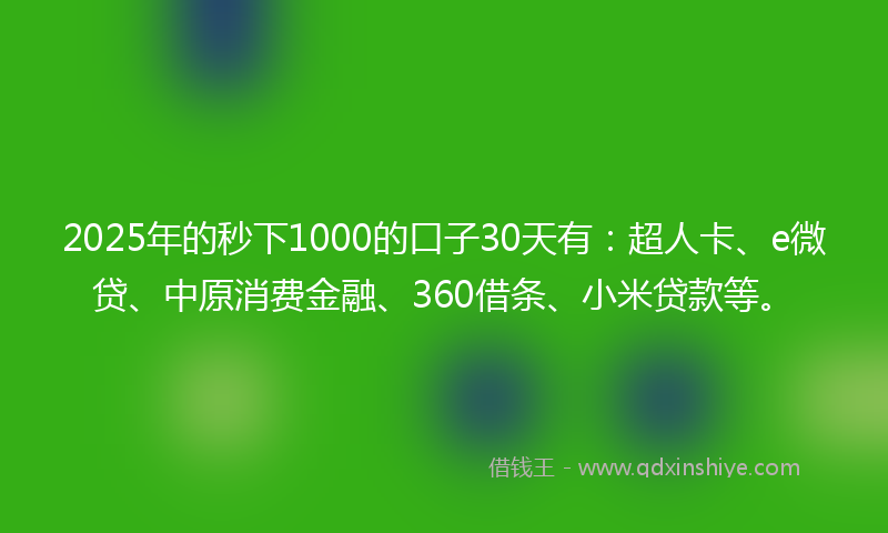 2025年的秒下1000的口子30天有：超人卡、e微贷、中原消费金融、360借条、小米贷款等。