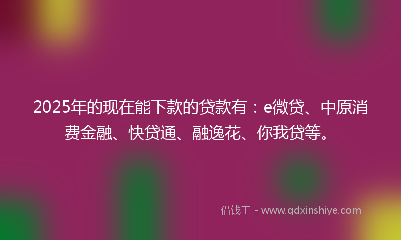 2025年的现在能下款的贷款有：e微贷、中原消费金融、快贷通、融逸花、你我贷等。