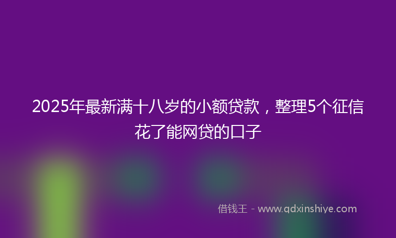 2025年最新满十八岁的小额贷款，整理5个征信花了能网贷的口子