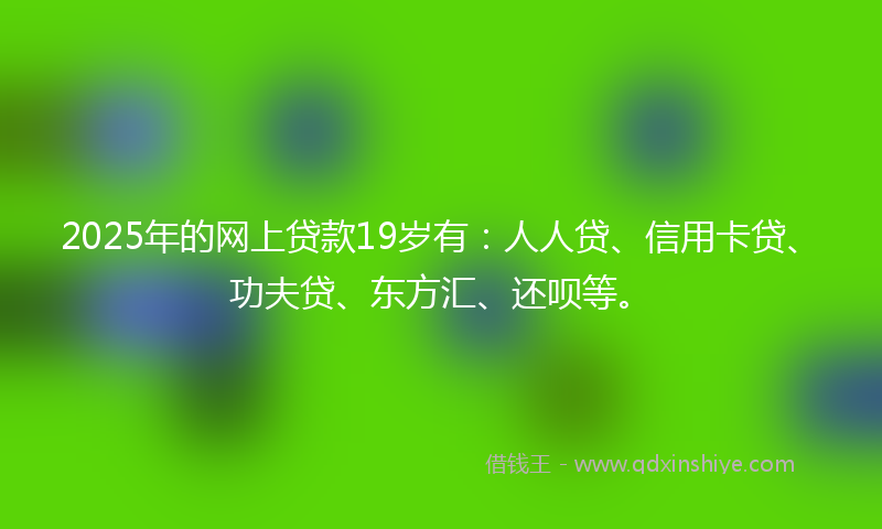 2025年的网上贷款19岁有：人人贷、信用卡贷、功夫贷、东方汇、还呗等。