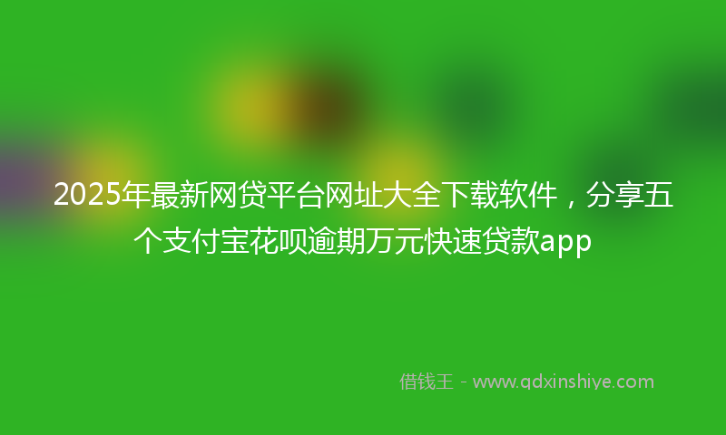 2025年最新网贷平台网址大全下载软件，分享五个支付宝花呗逾期万元快速贷款app