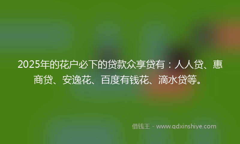 2025年的花户必下的贷款众享贷有：人人贷、惠商贷、安逸花、百度有钱花、滴水贷等。