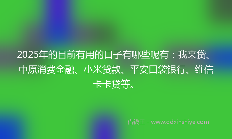 2025年的目前有用的口子有哪些呢有：我来贷、中原消费金融、小米贷款、平安口袋银行、维信卡卡贷等。
