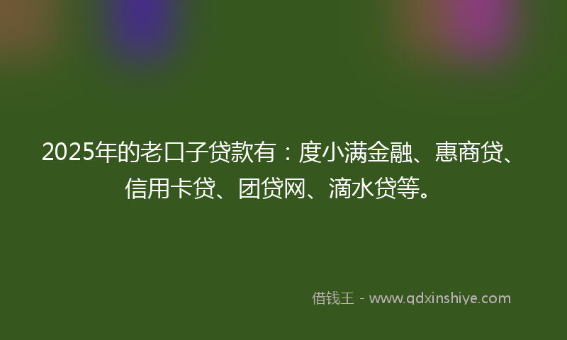 2025年的老口子贷款有:度小满金融、惠商贷、信用卡贷、团贷网、滴水贷等。