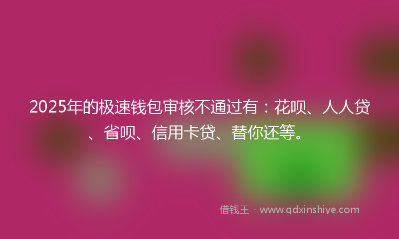 2025年的极速钱包审核不通过有：花呗、人人贷、省呗、信用卡贷、替你还等。