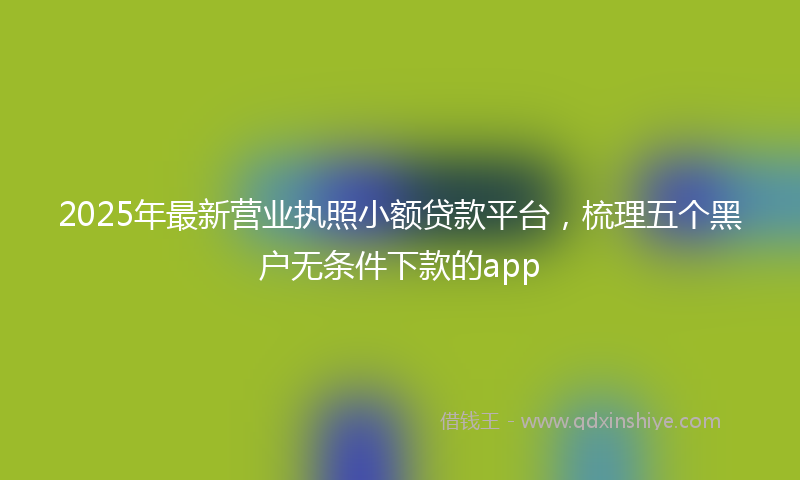 2025年最新营业执照小额贷款平台，梳理五个黑户无条件下款的app
