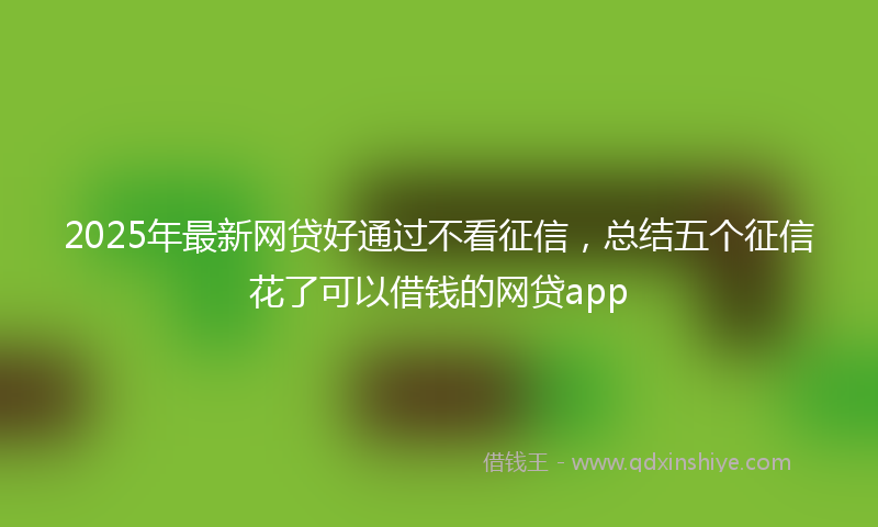 2025年最新网贷好通过不看征信，总结五个征信花了可以借钱的网贷app