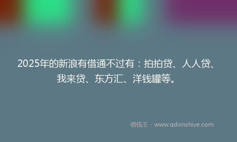 2025年的新浪有借通不过有：拍拍贷、人人贷、我来贷、东方汇、洋钱罐等。