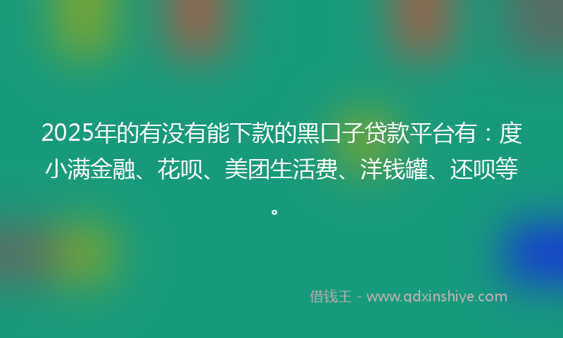 2025年的有没有能下款的黑口子贷款平台有：度小满金融、花呗、美团生活费、洋钱罐、还呗等。