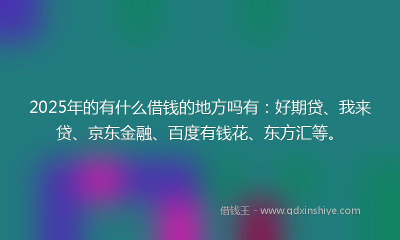 2025年的有什么借钱的地方吗有：好期贷、我来贷、京东金融、百度有钱花、东方汇等。
