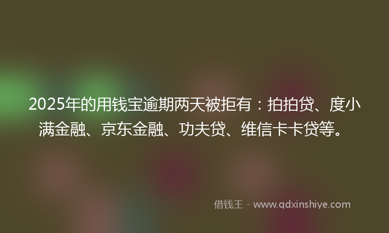 2025年的用钱宝逾期两天被拒有：拍拍贷、度小满金融、京东金融、功夫贷、维信卡卡贷等。