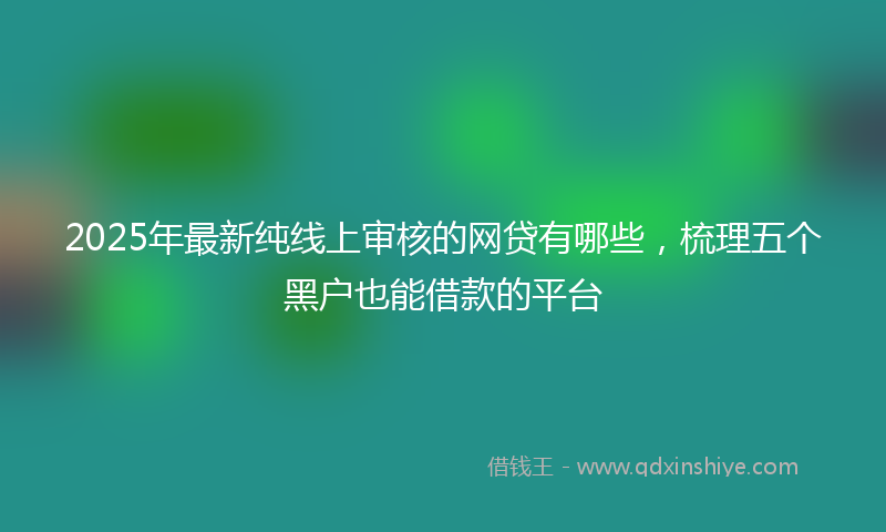 2025年最新纯线上审核的网贷有哪些，梳理五个黑户也能借款的平台