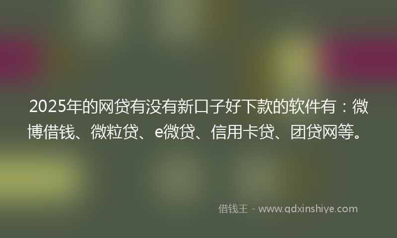 2025年的网贷有没有新口子好下款的软件有：微博借钱、微粒贷、e微贷、信用卡贷、团贷网等。