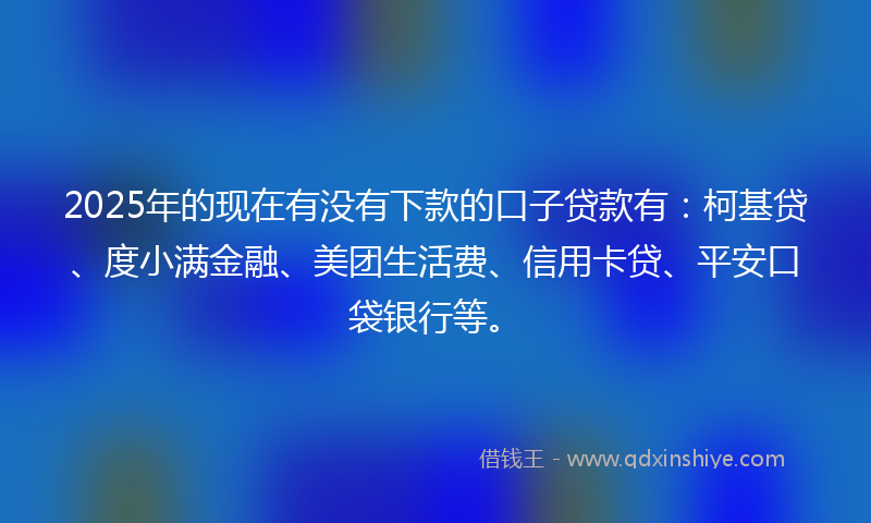 2025年的现在有没有下款的口子贷款有：柯基贷、度小满金融、美团生活费、信用卡贷、平安口袋银行等。