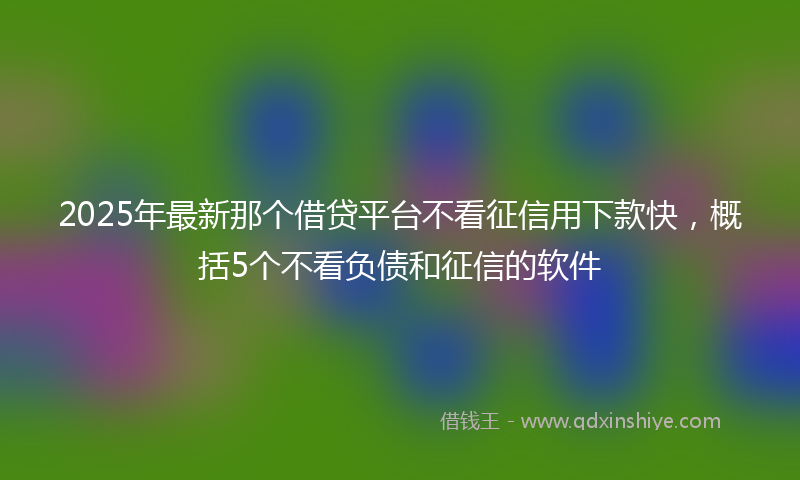 2025年最新那个借贷平台不看征信用下款快，概括5个不看负债和征信的软件