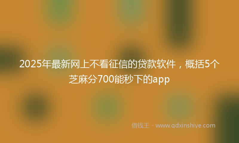 2025年最新网上不看征信的贷款软件，概括5个芝麻分700能秒下的app
