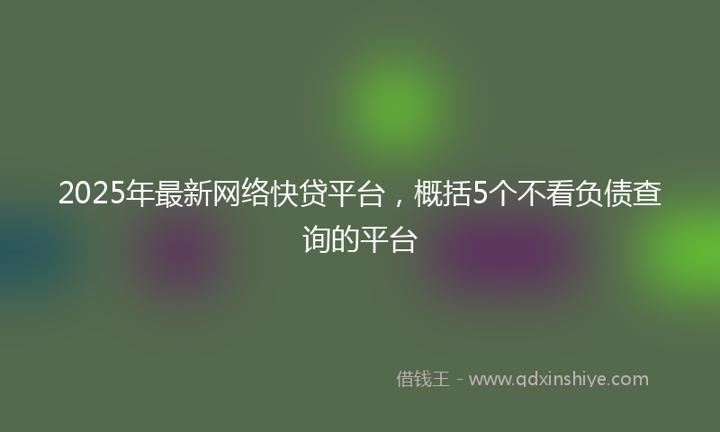 2025年最新网络快贷平台，概括5个不看负债查询的平台