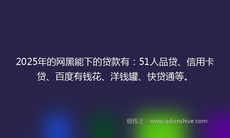2025年的网黑能下的贷款有：51人品贷、信用卡贷、百度有钱花、洋钱罐、快贷通等。