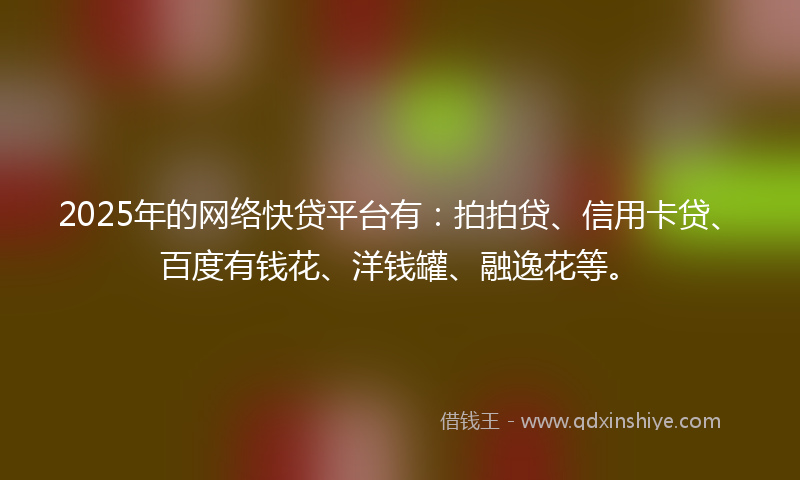 2025年的网络快贷平台有：拍拍贷、信用卡贷、百度有钱花、洋钱罐、融逸花等。