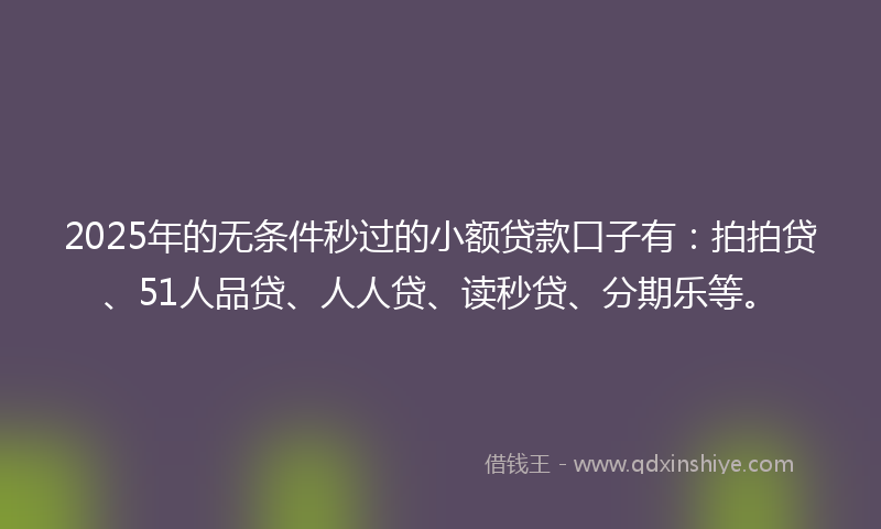 2025年的无条件秒过的小额贷款口子有：拍拍贷、51人品贷、人人贷、读秒贷、分期乐等。