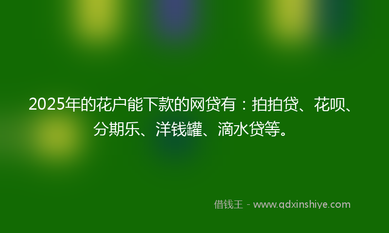 2025年的花户能下款的网贷有：拍拍贷、花呗、分期乐、洋钱罐、滴水贷等。