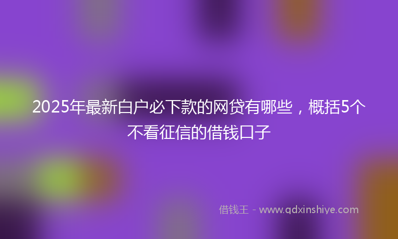 2025年最新白户必下款的网贷有哪些，概括5个不看征信的借钱口子