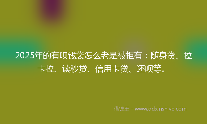 2025年的有呗钱袋怎么老是被拒有：随身贷、拉卡拉、读秒贷、信用卡贷、还呗等。