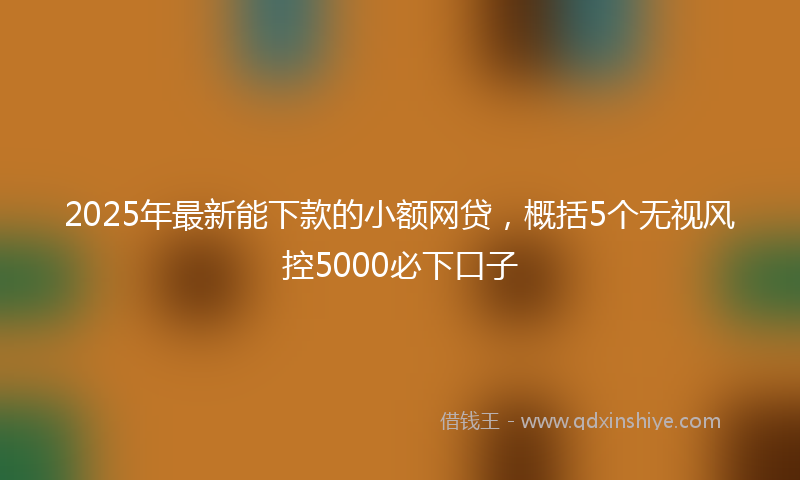 2025年最新能下款的小额网贷，概括5个无视风控5000必下口子